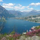 Frühling am Gardasee