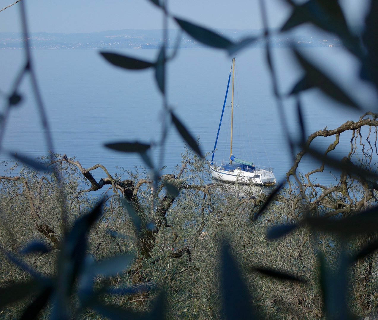 Frühling am Gardasee