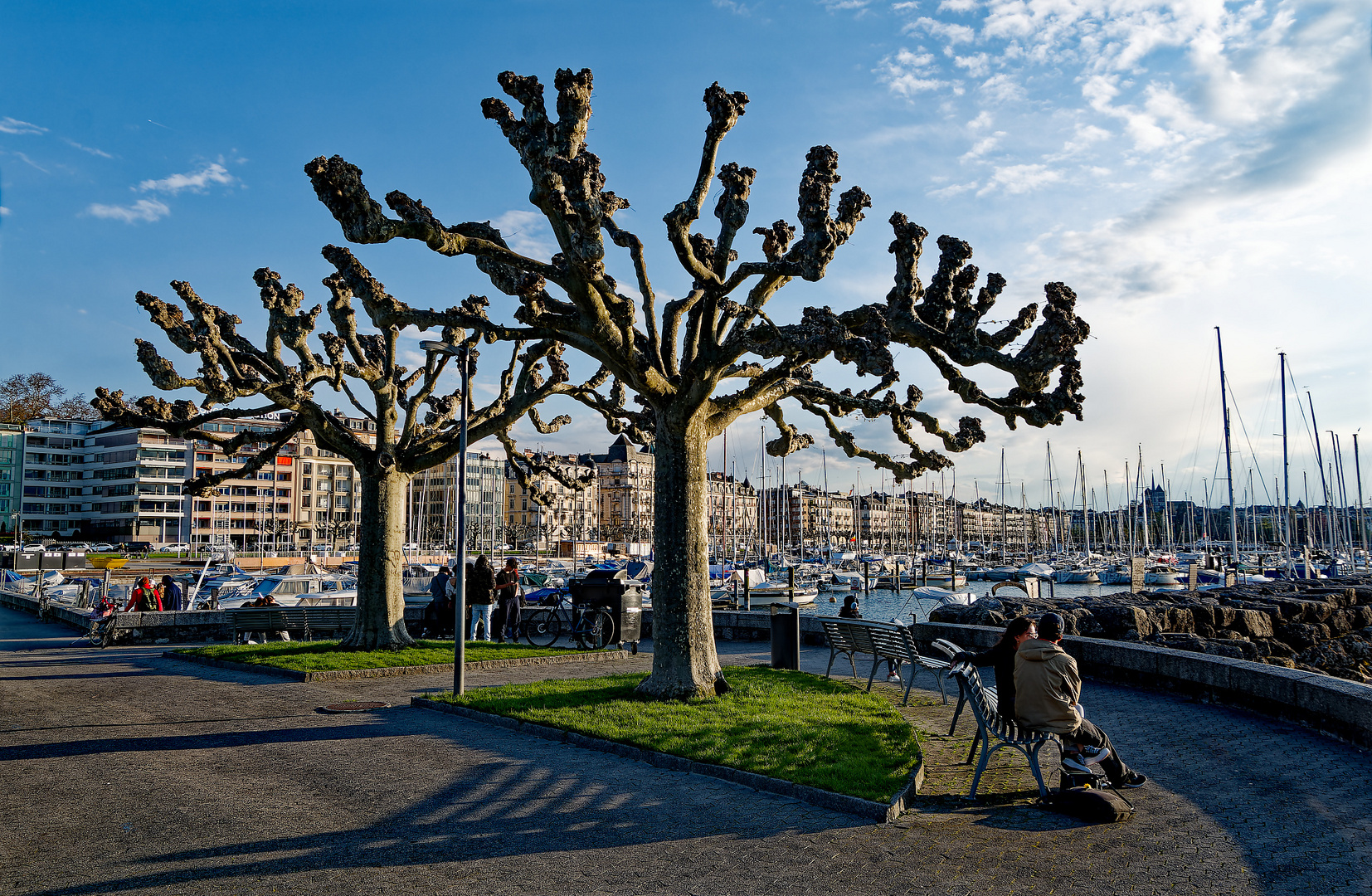 Frühling am Genfer See