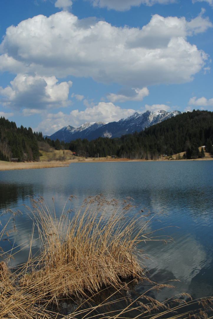 Frühling am Geroldsee