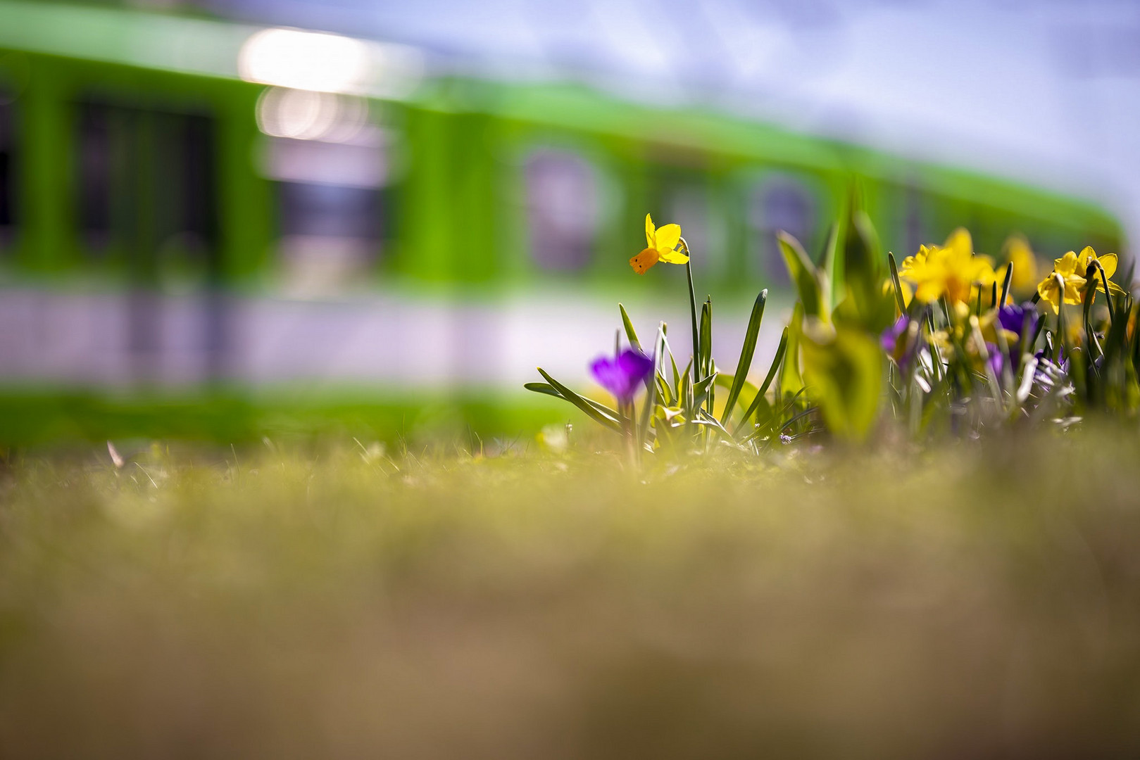 Frühling am Gleisbett