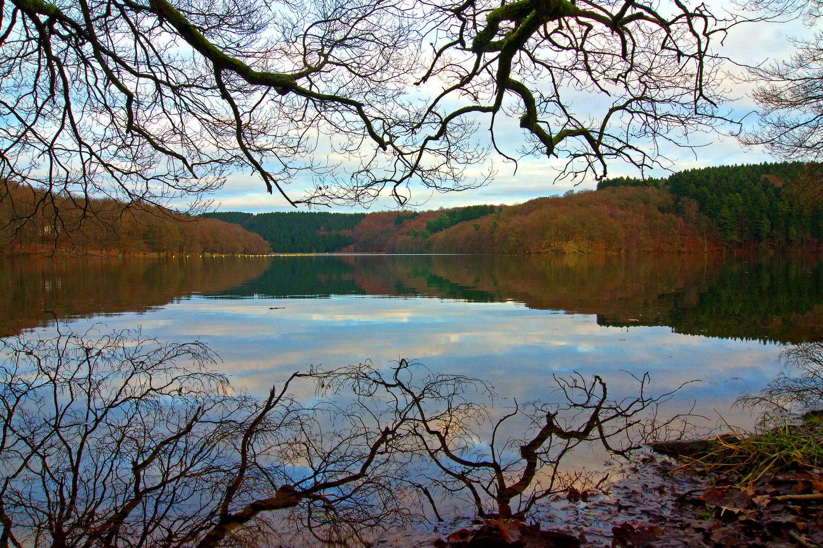 Frühling am Glörsee