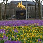 Frühling am "Goldenen Reiter" in Dresden