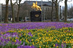 Frühling am "Goldenen Reiter" in Dresden