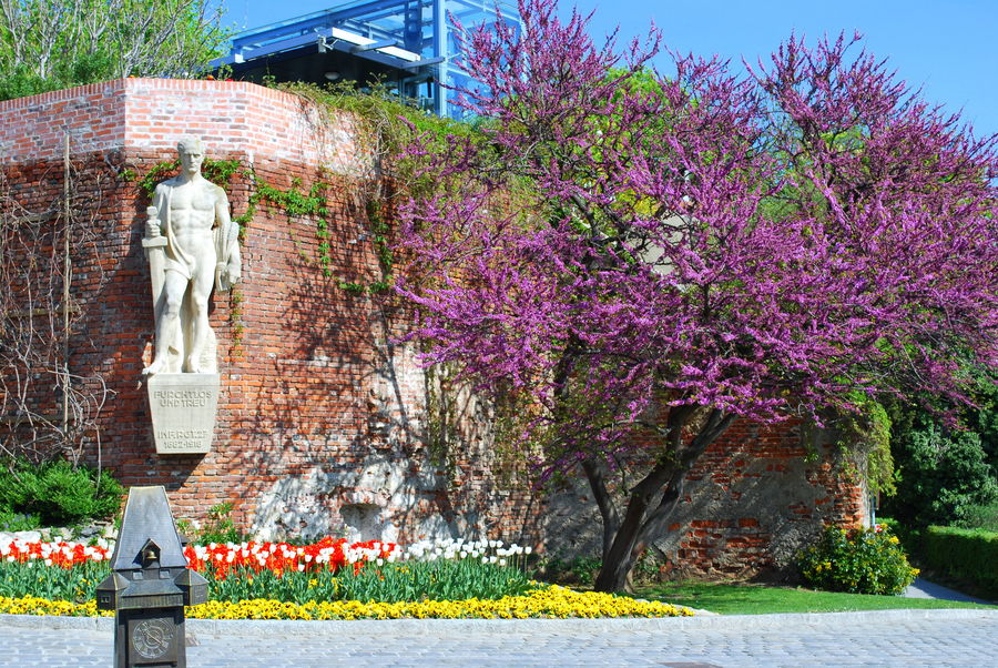 Frühling am Grazer Schlossberg