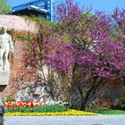 Frühling am Grazer Schlossberg