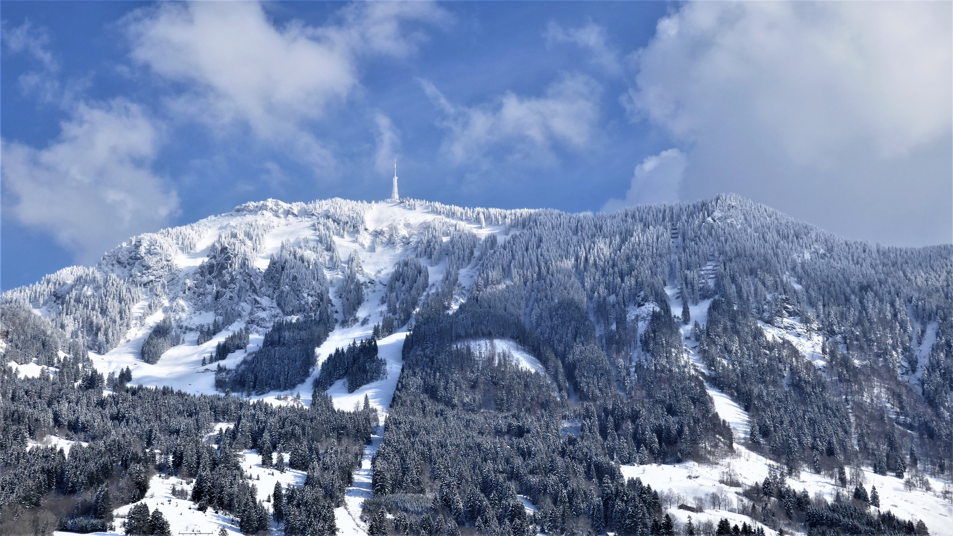 Frühling am Grünten ;-(