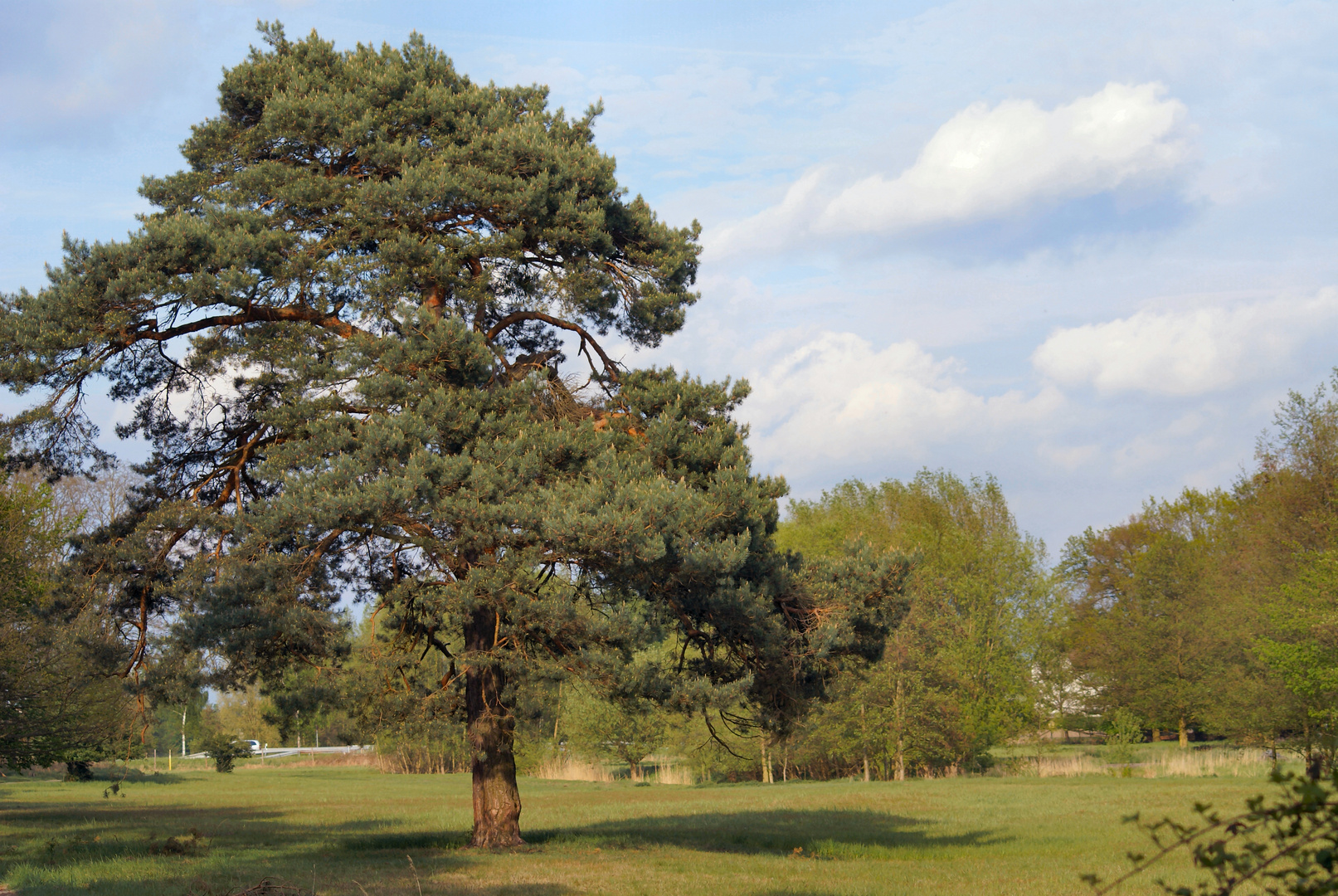 Frühling am Gundhof