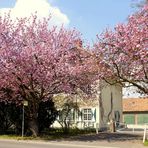 Frühling am Gut Eichholz