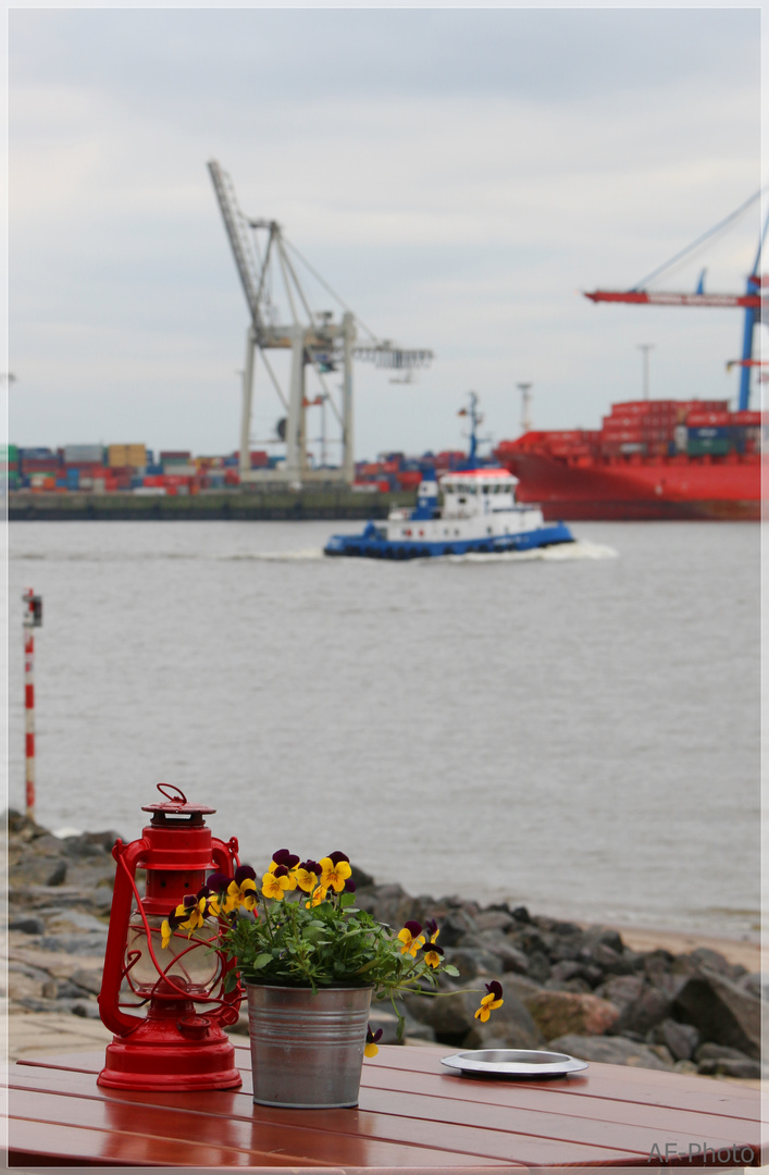 Frühling am Hafen