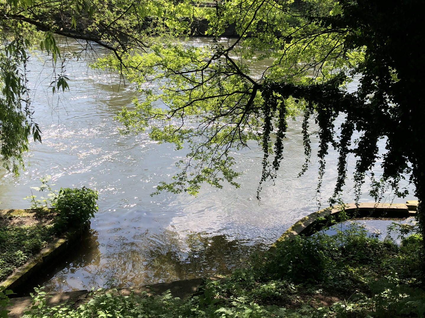 Frühling am Hagenbucher See