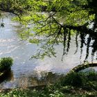 Frühling am Hagenbucher See