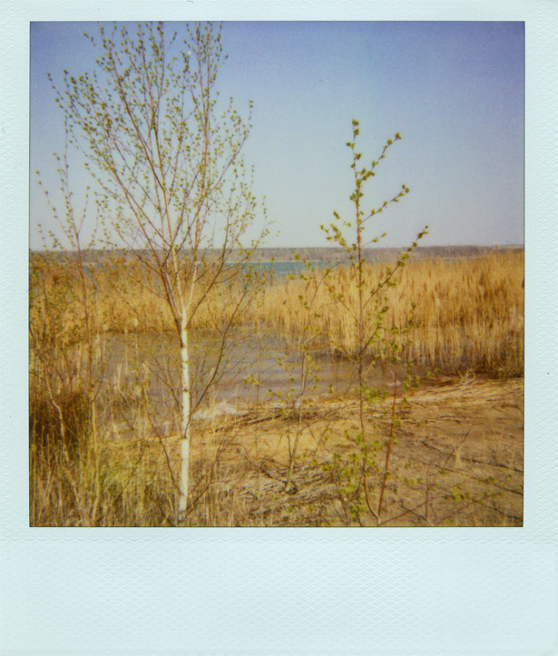 Frühling am Haselbacher See