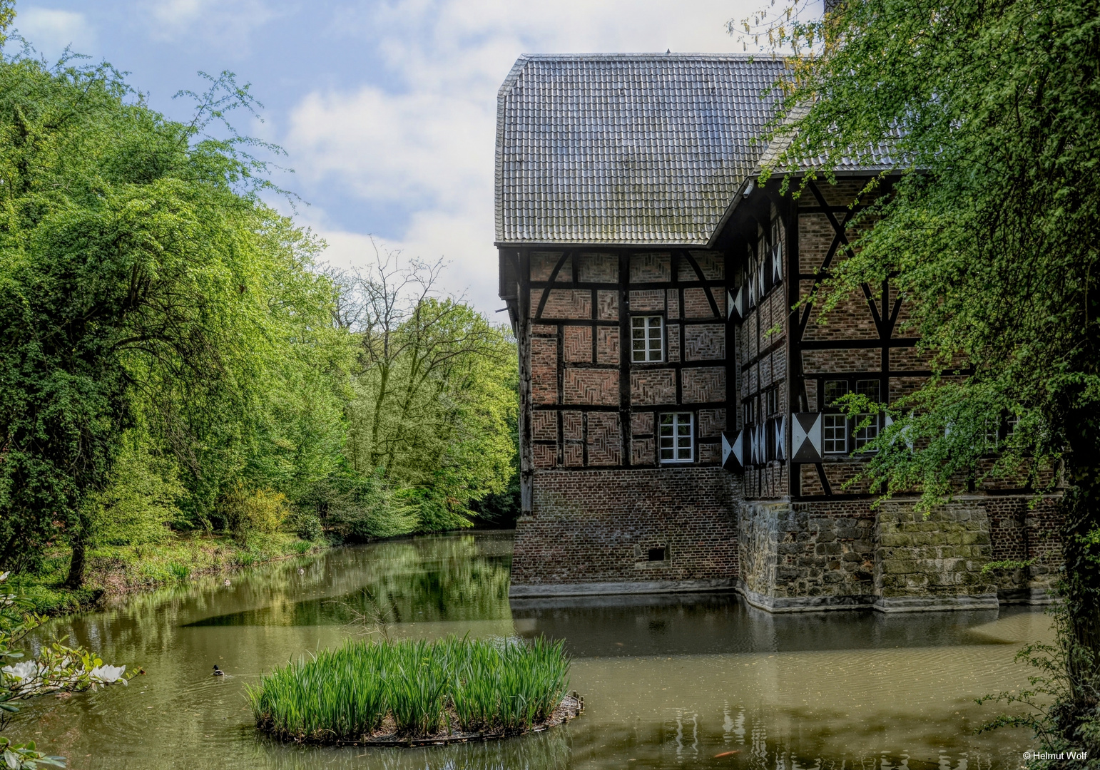 Frühling am Haus Fürth Il