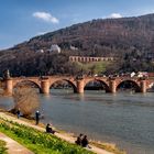 Frühling am Heidelberger Schloss 2