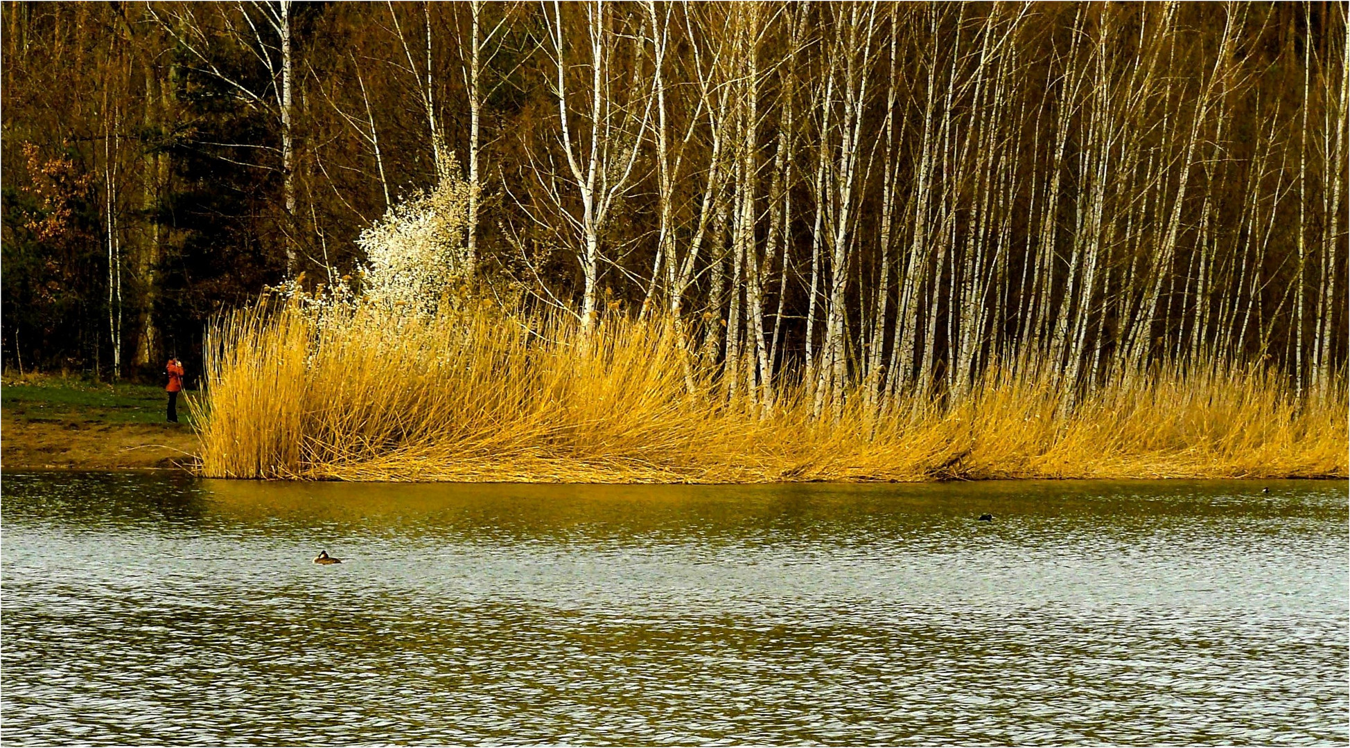 Frühling am Heidesee