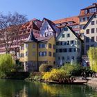 Frühling am Hölderlinturm