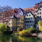 Frühling am Hölderlinturm