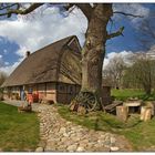 Frühling am Hörnerkamp Hof