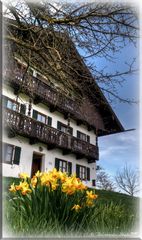 Frühling am Hof - Pseudo HDR