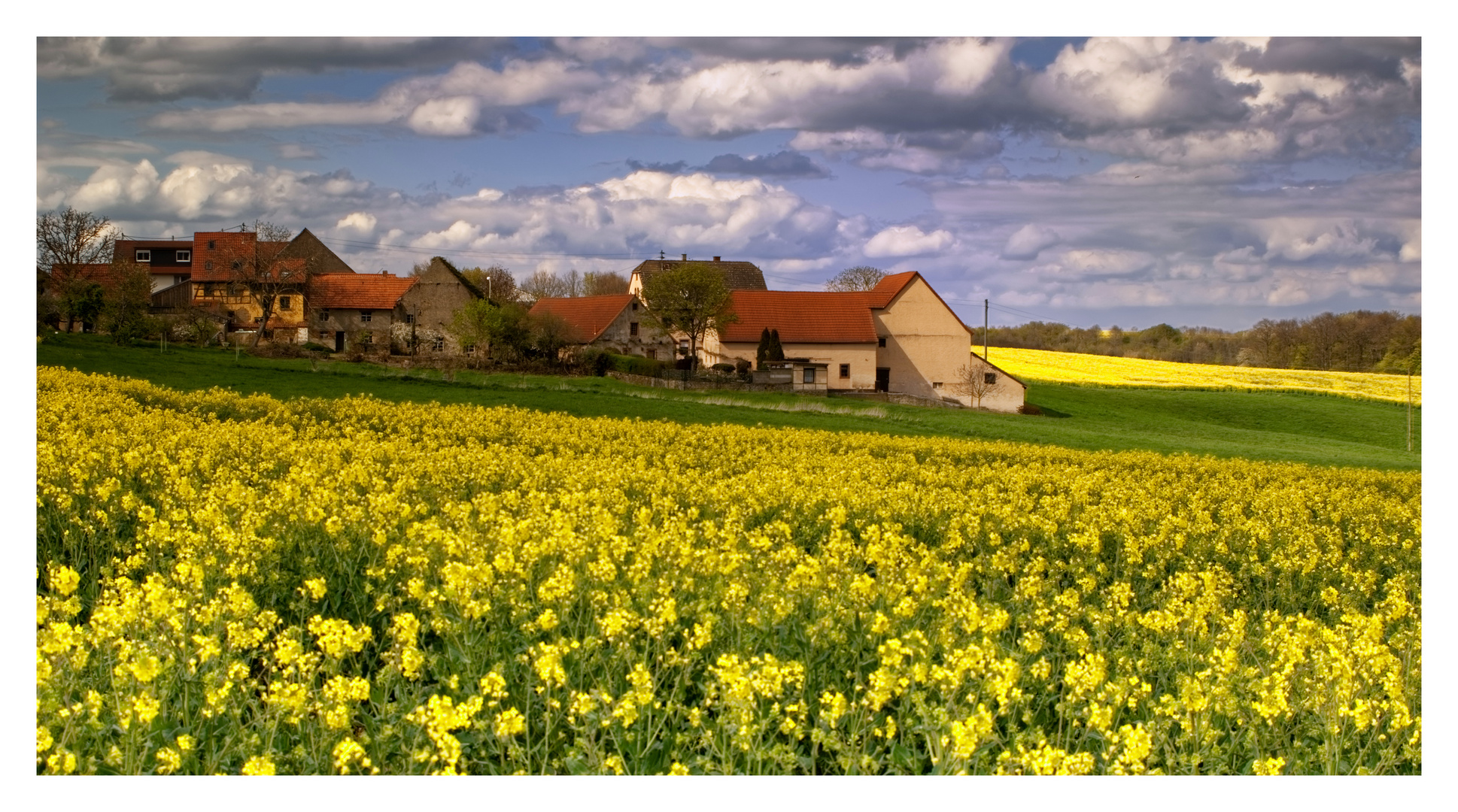 Frühling am Hoferhof