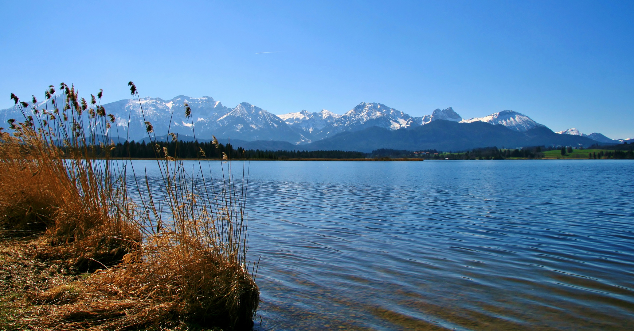 ... Frühling am Hopfensee...