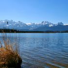 ... Frühling am Hopfensee...