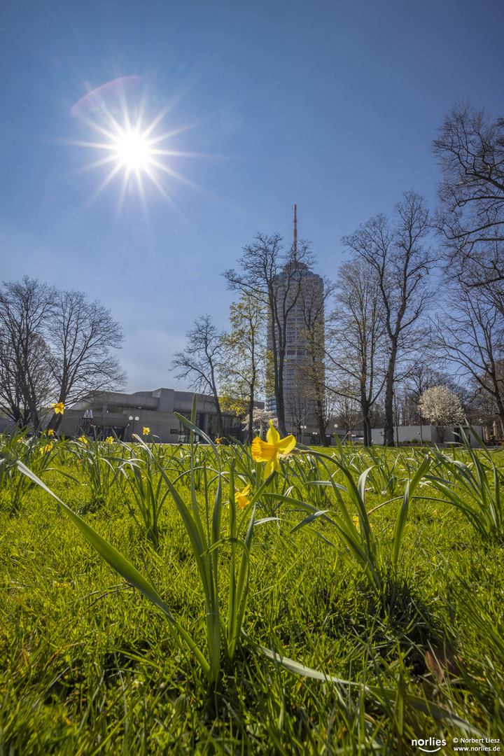 Frühling am Hotelturm