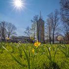 Frühling am Hotelturm