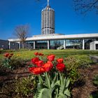 Frühling am Hotelturm