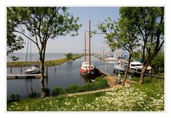 Frühling am Ijsselmeer