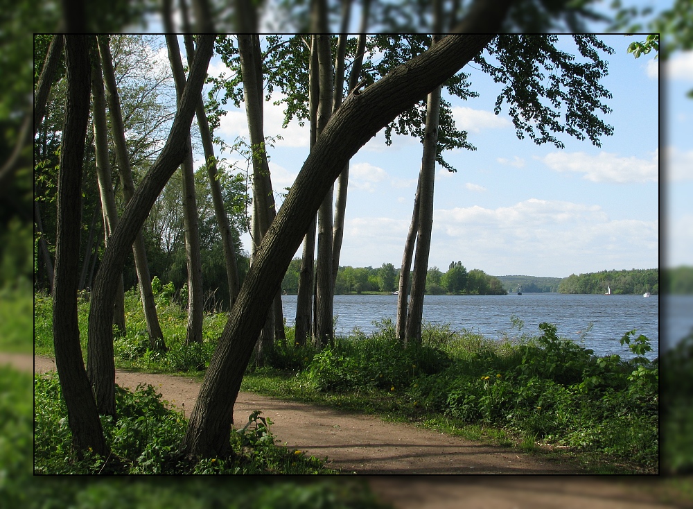 Frühling am Jungfernsee