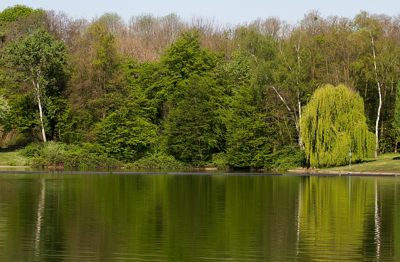 Frühling am Kalscheurer Weiher Foto & Bild landschaft, bach, fluss