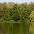 Frühling am Kalscheurer Weiher