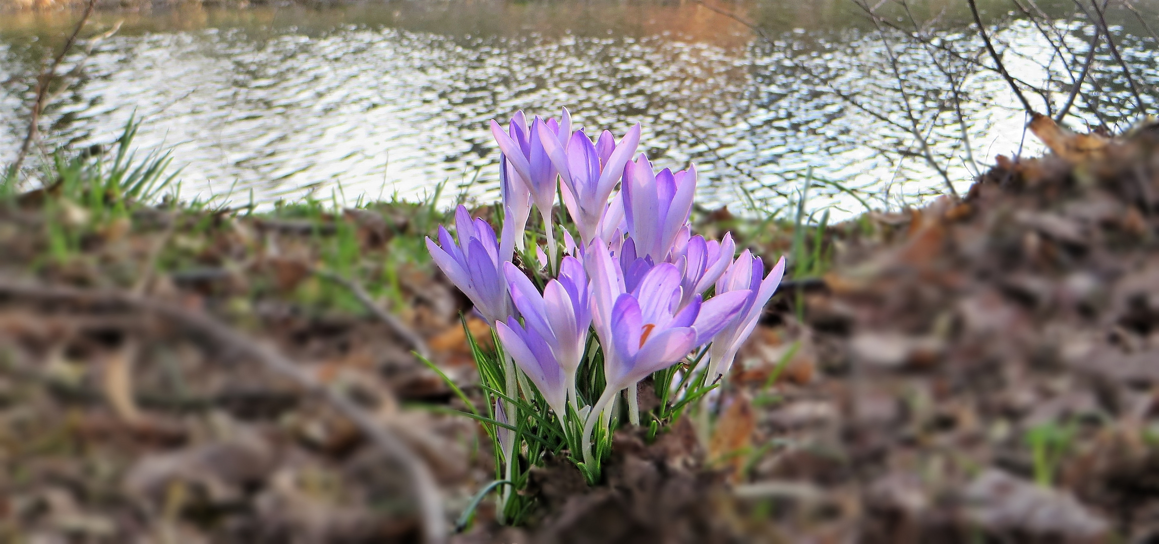 Frühling am Kanal