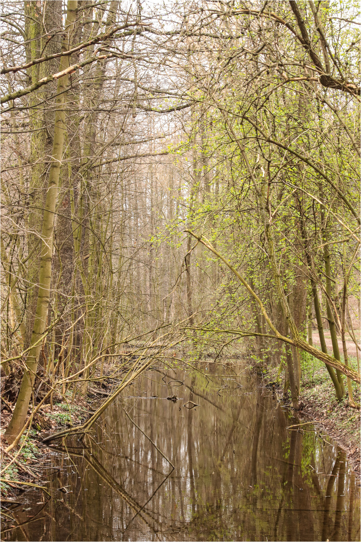 Frühling am Kanal