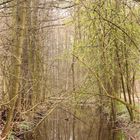 Frühling am Kanal