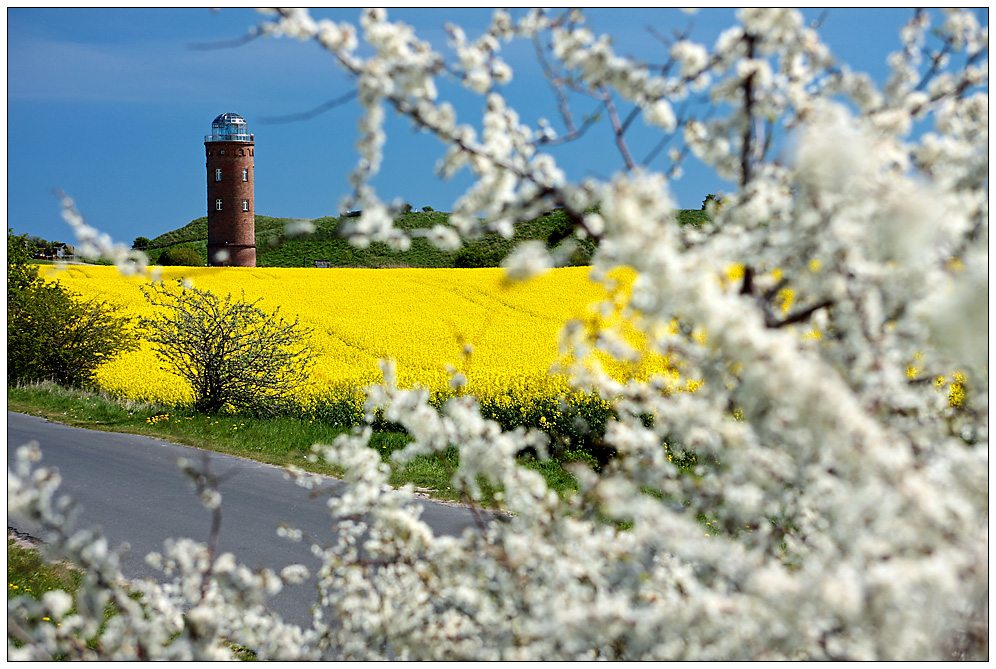 Frühling am Kap Arkona