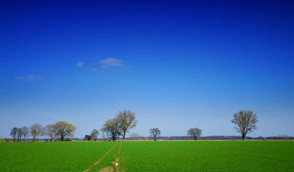 Frühling am Karfreitag