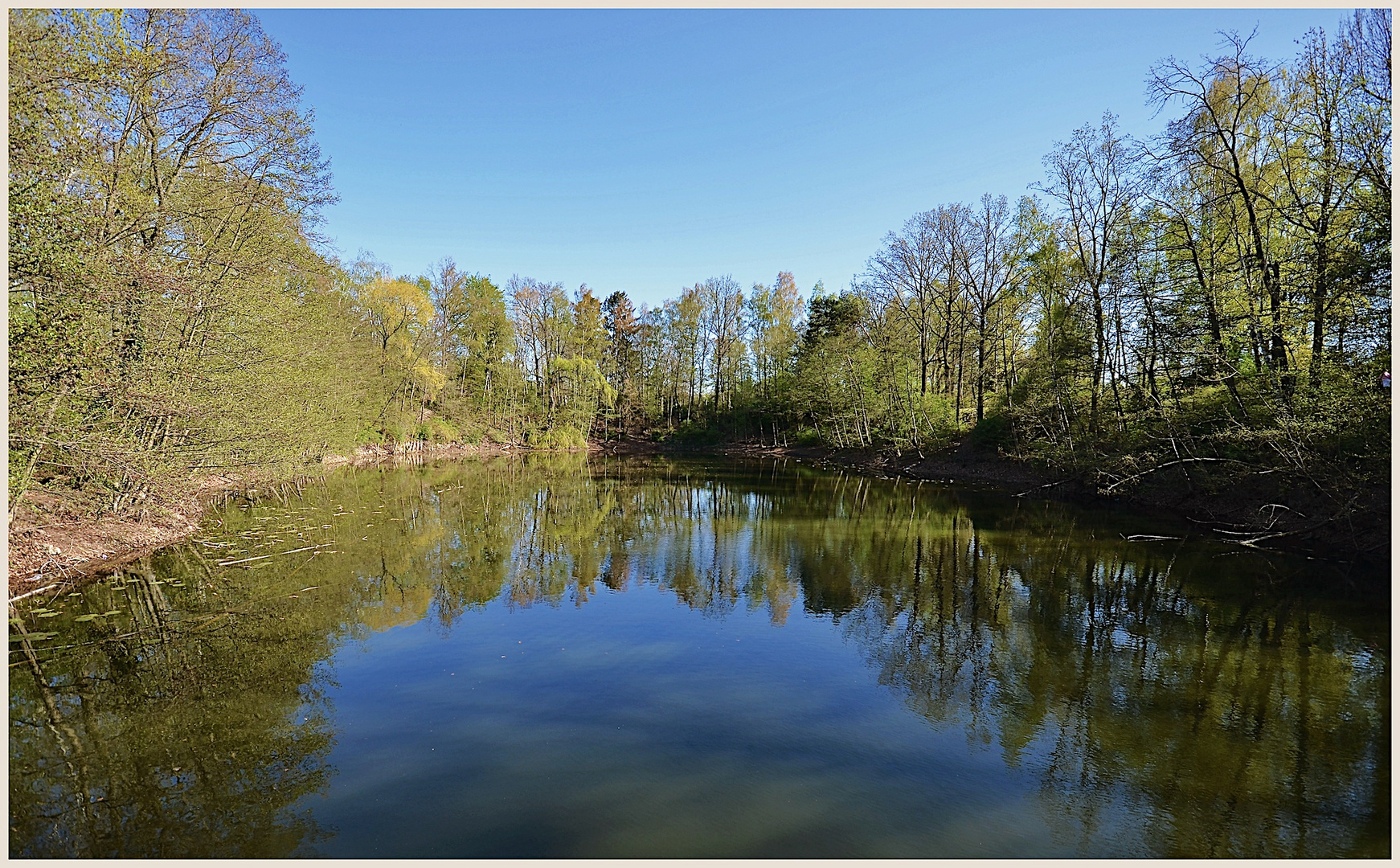 Frühling am Karpfenteich