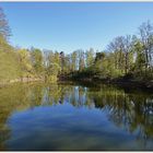 Frühling am Karpfenteich