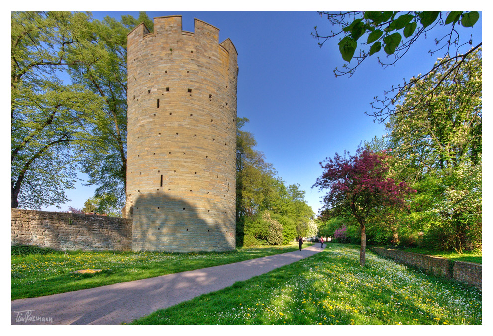 frühling am kattenturm