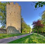 frühling am kattenturm