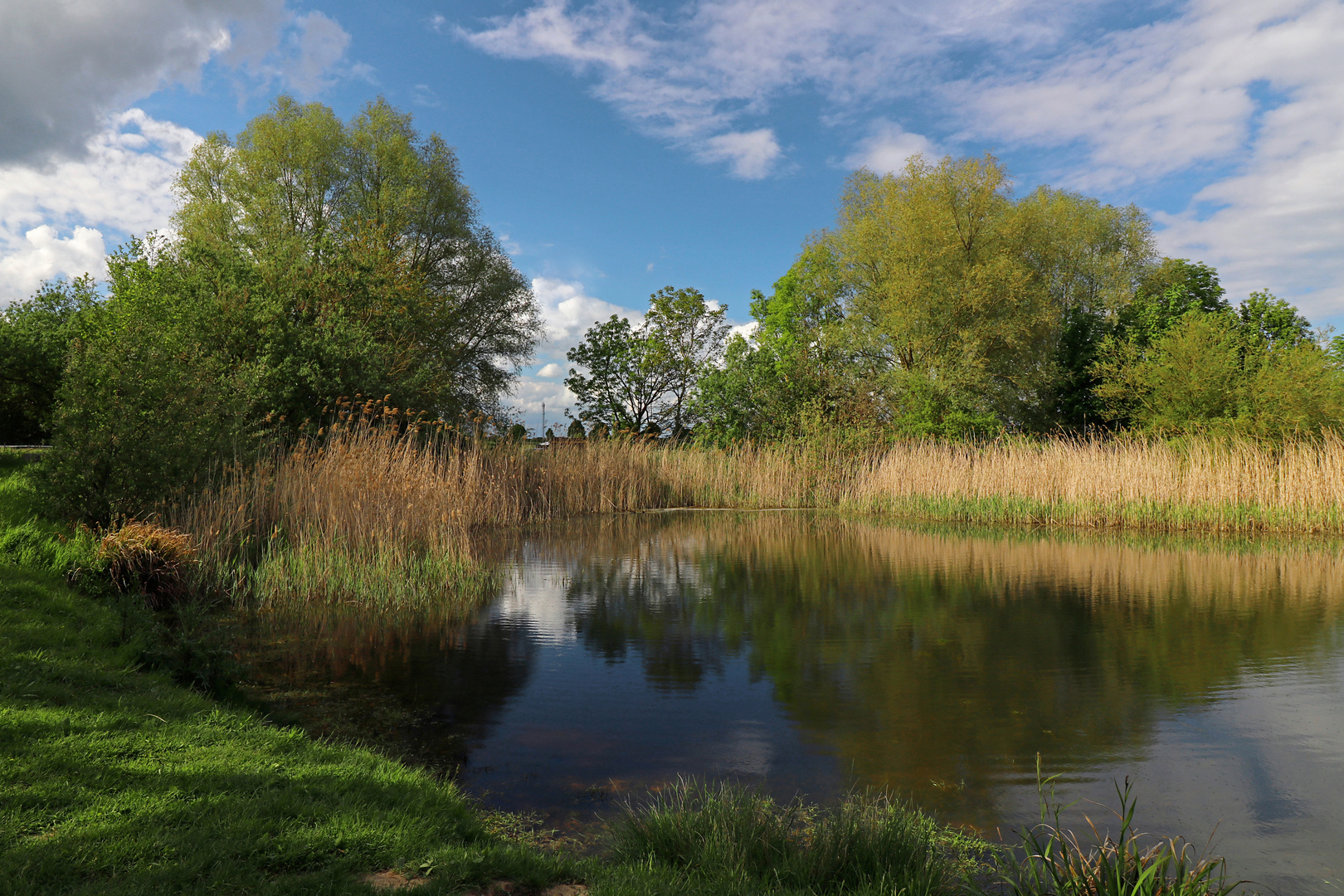 Frühling am kleinen Teich Foto & Bild landschaften, wasser, bäume