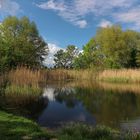 Frühling am kleinen Teich