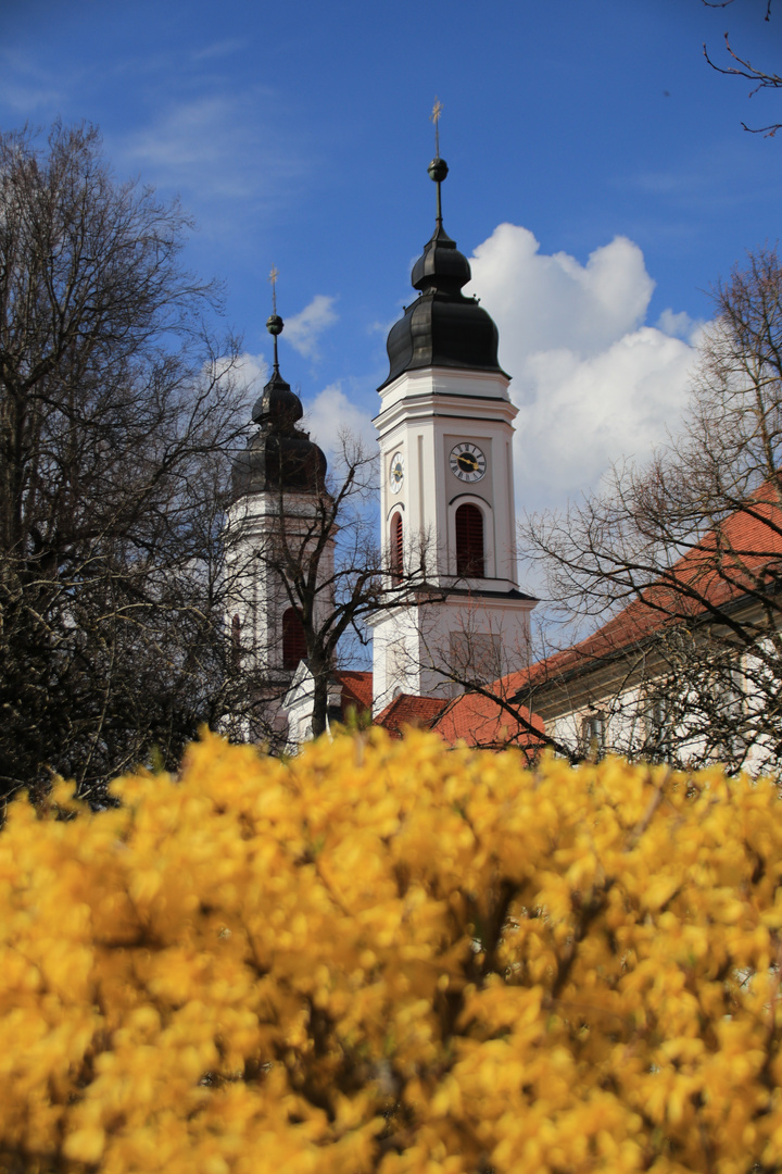 Frühling am Kloster Irsee