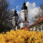 Frühling am Kloster Irsee