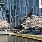 Frühling am Kö-Bogen Düsseldorf