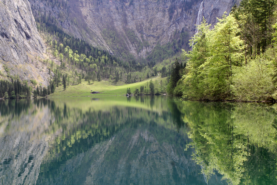 Frühling am Königsee