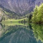 Frühling am Königsee